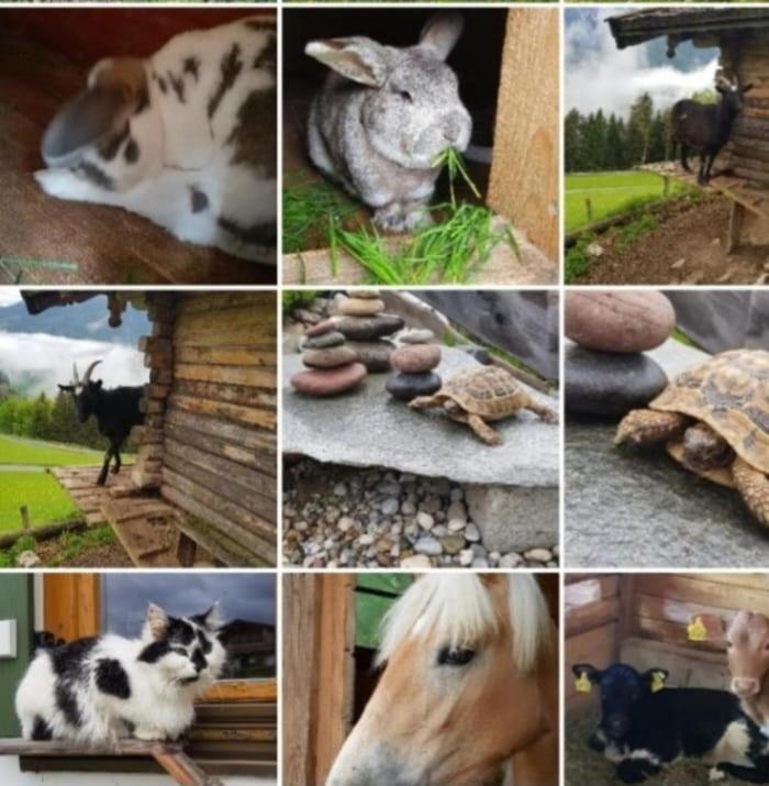 Ettlerlehen Chalets Ramsau bei Berchtesgaden Bagian luar foto