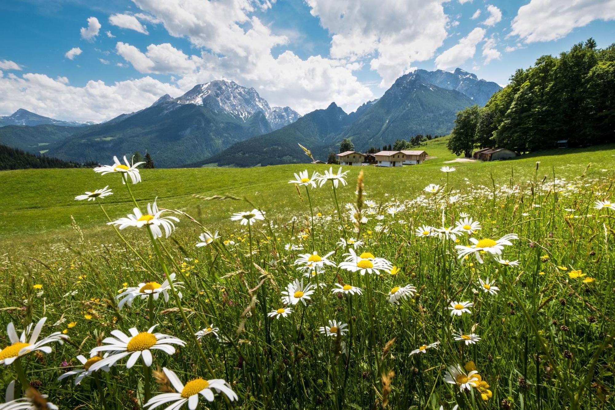 Ettlerlehen Chalets Ramsau bei Berchtesgaden Bagian luar foto